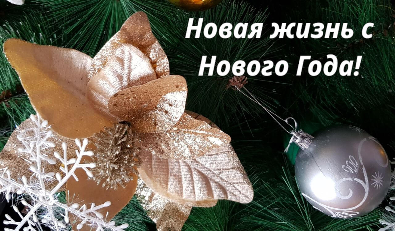 Новая жизнь и новый бизнес с Нового Года!